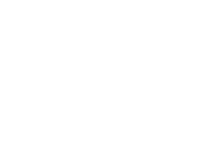BMS Security logo